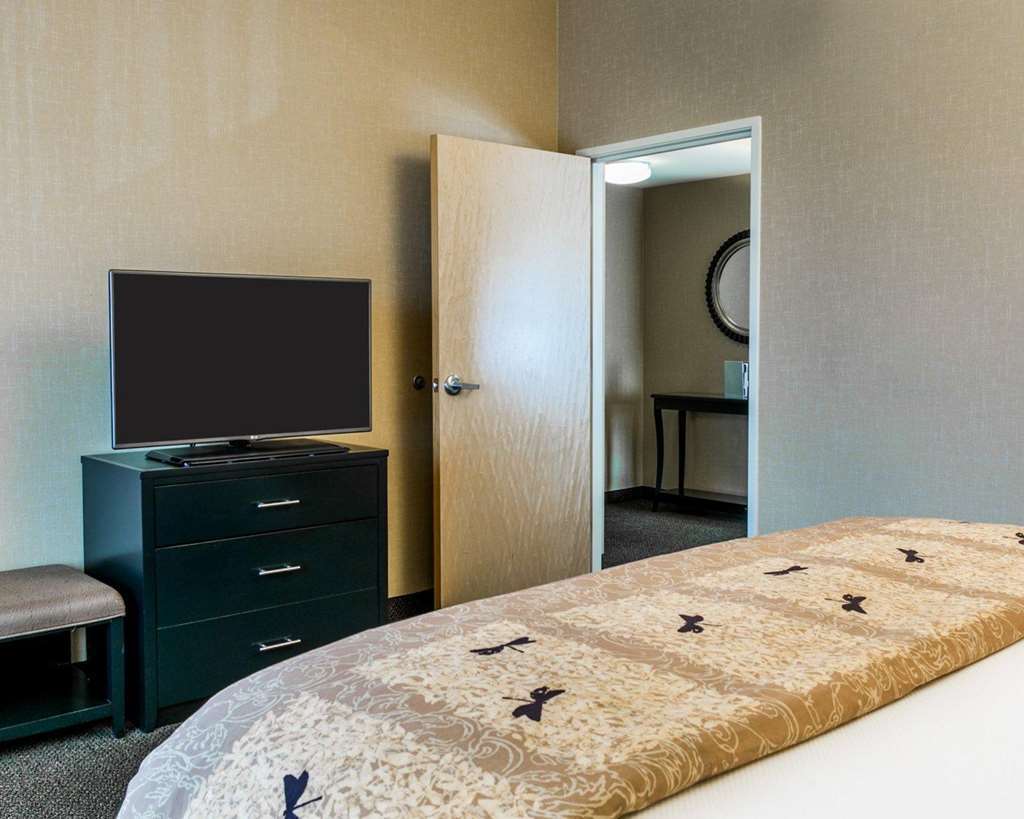Cambria Hotel Denver International Airport Орора Номер фото